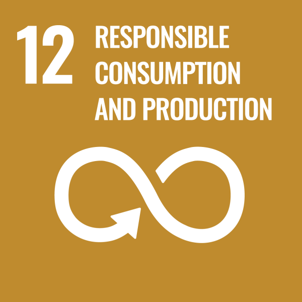 SDG12 Responsible Consumption and Production symbol